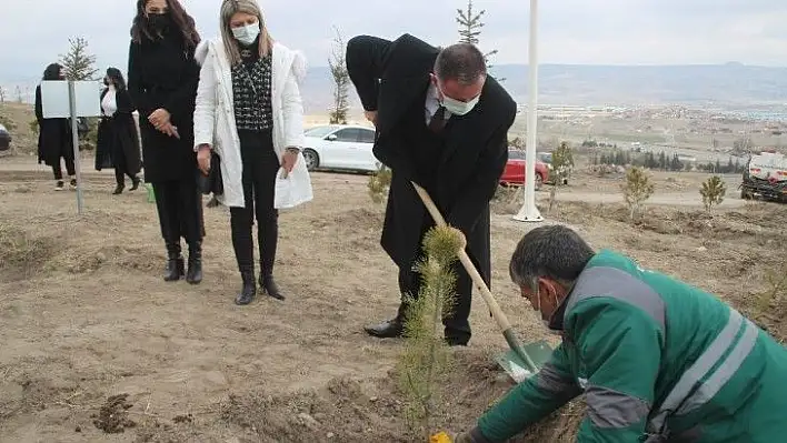 Kayseri Barosu Kadınlar Günü'nde ağaç dikti