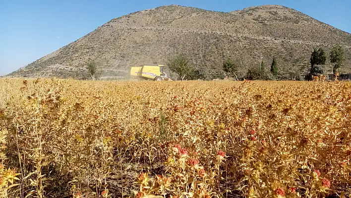 Başkan müjde verdi! Kayseri hangi alanda birinci hangisinde ikinci oldu!