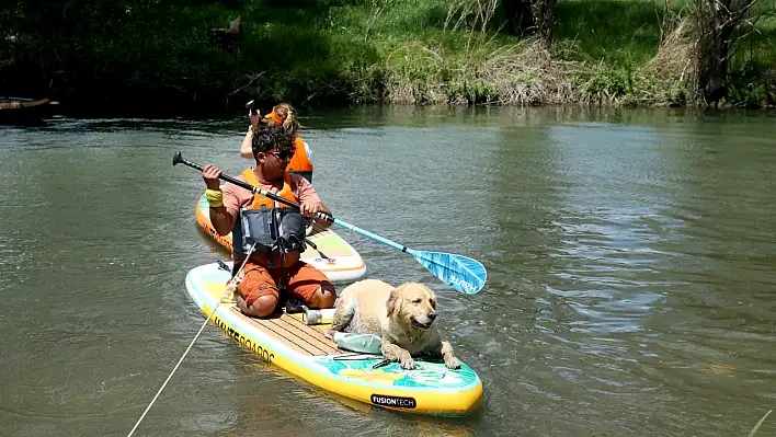 Kayseri bu köpeği konuşuyor