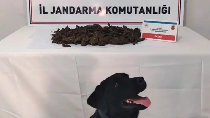 Kayseri'de 1.5 kilo skunk ele geçirildi