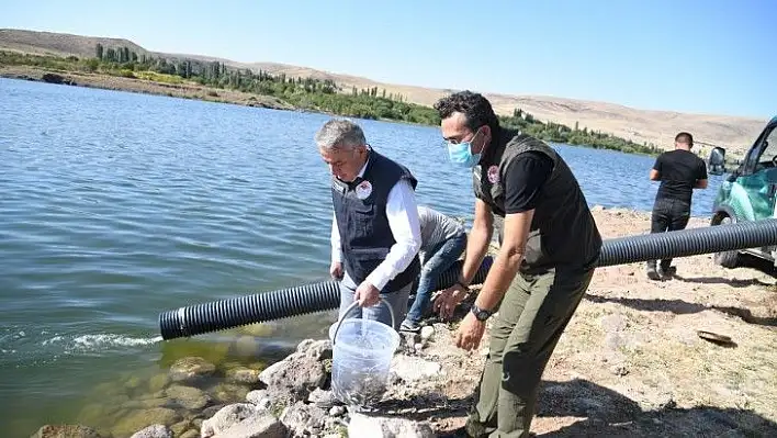 Göl ve göletlere 678 bin yavru balık bırakıldı