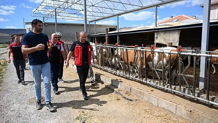 Kayseri'de artış devam ediyor!