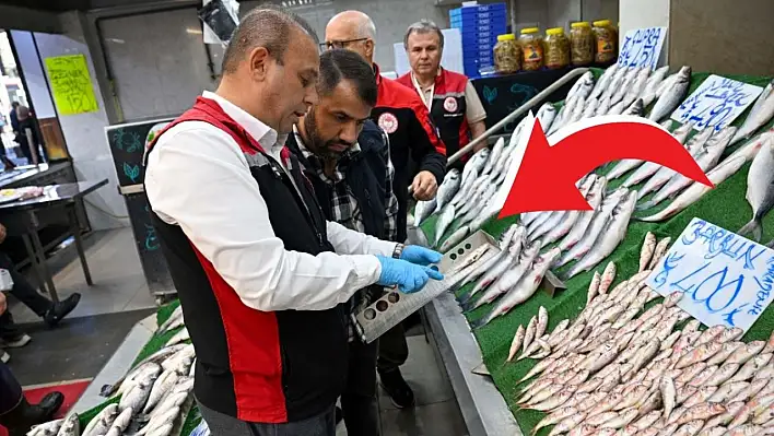 Kayseri'de balıkçılara sıkı denetim! Müdür ölçüm yaptı