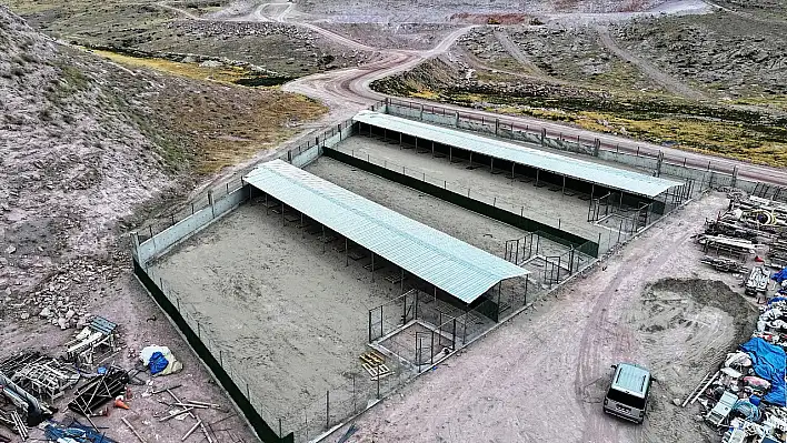Kayseri'de belediye hayvan barınağı için harekete geçti! Bakın neler alınacak