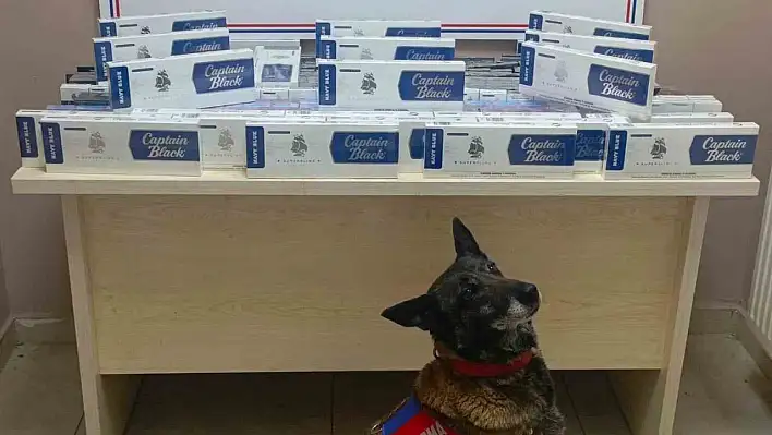 Jandarma'dan Kayseri-Malatya yolunun 22. kilometresinde operasyon