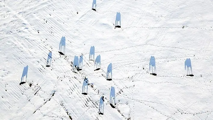 'Kayseri'de Bir An' Fotoğraf Yarışması sonuçlandı
