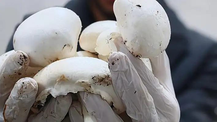 Kayseri'de bir ilk: Sarız'da hayata geçti