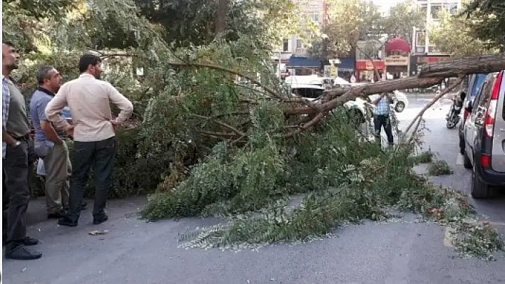 Kayseri'de bu saatlere dikkat: Rüzgar saatte 50 km'ye ulaşacak
