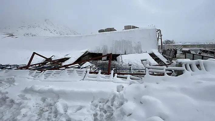 Kayseri'de çatı çöktü! Onlarca hayvan telef oldu