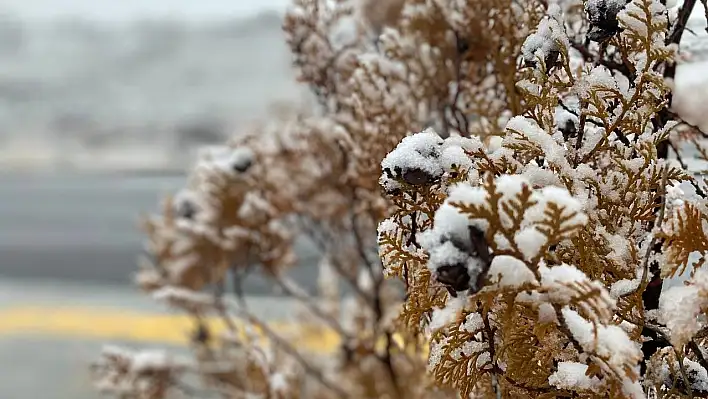 Kayseri'de toprağa cemre ile birlikte kar da düştü