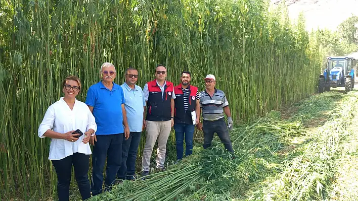 Kayseri'de çiftçinin yeni umudu: 4 ayda traktör boyunu geçti, hasada jandarma da eşlik etti!