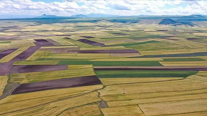 Kayseri'de çok sayıda tarla, bağ ve arsa satışa çıkıyor