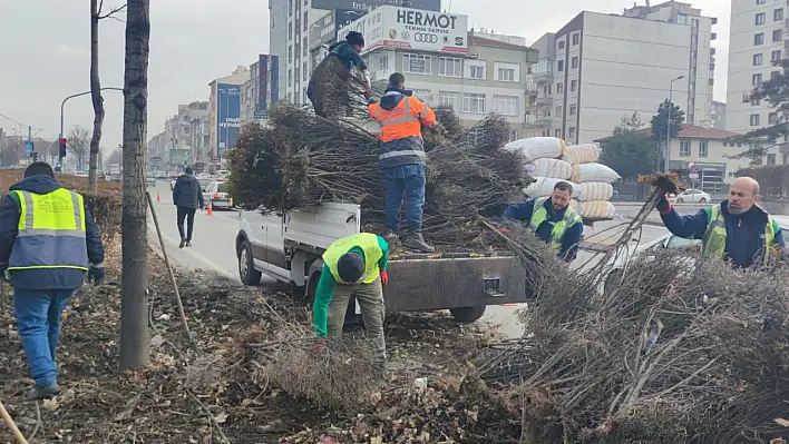 Kayseri'de hummalı çalışma