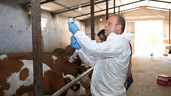 Kayseri'de iğneli Müdür iş başında