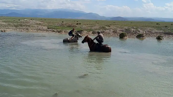 Kayseri'de ilginç görüntü! Bu adamlar suda at üstüne ne yapıyor?