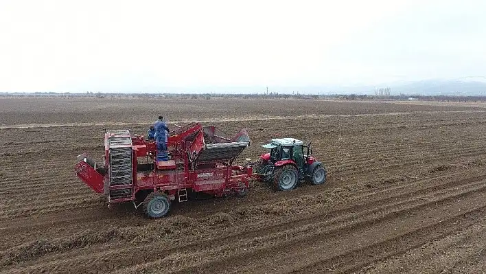 Kayseri'de ilk defa siyah havuç hasadı yapıldı
