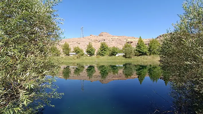 Kayseri'de kabusun yaşandığı mahalle ile ilgili açıklama! Tarih verildi