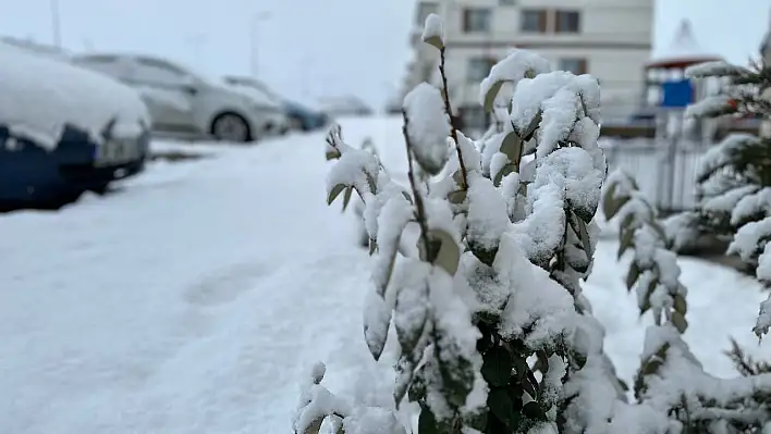 Kayseri'de kar yağışı etkili oldu