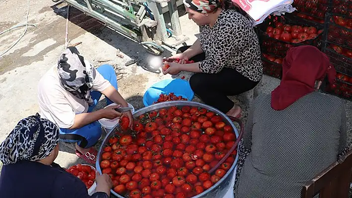 Kayseri'de kışlık hazırlıkların adresi: Cumartesi semt pazarları (17 Ağustos 2024)