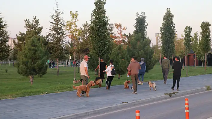Kayseri'de küçük-büyük ırk köpek sahipleri bir araya gelerek bakın ne yaptı?