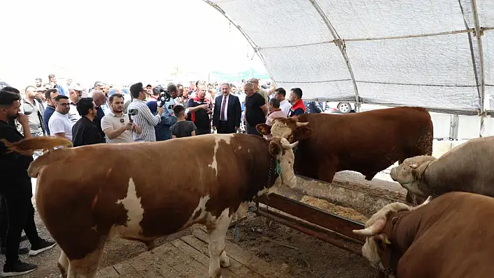 Kayseri'de kurban pazar yerleri hazır