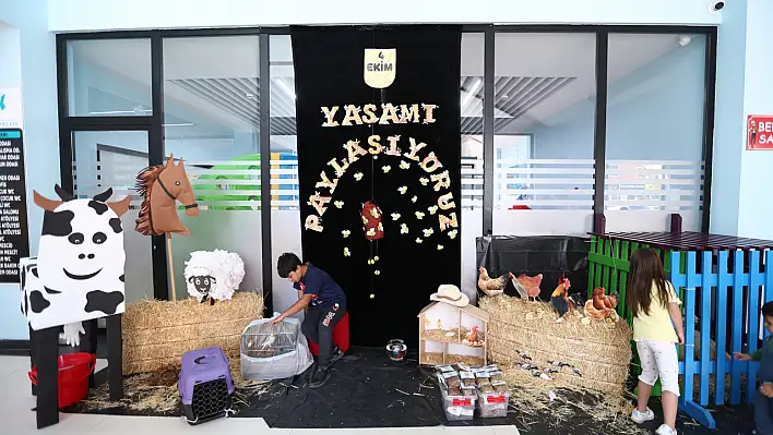 Kayseri'de kütüphane misafirleri: Kedi, kuş, koyun ve balık…