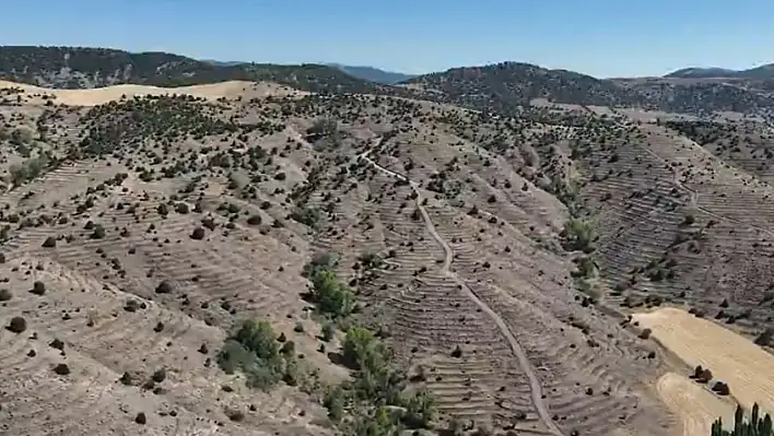 Kayseri'de müdürlük harekete geçti! Yozgat'ta çalışmalar başladı