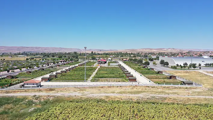 Kayseri'de organik lezzetin adresine yoğun ilgi