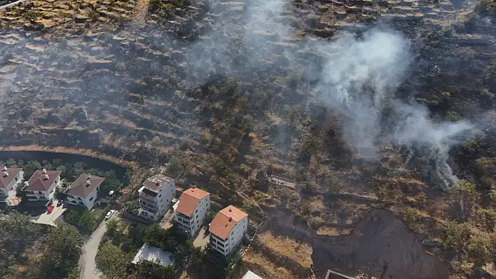 Kayseri'de patlıcan közlerken ormanı yakan şahıs yakalandı!