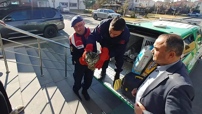 Kayseri'de puhu yaralı olarak bulundu