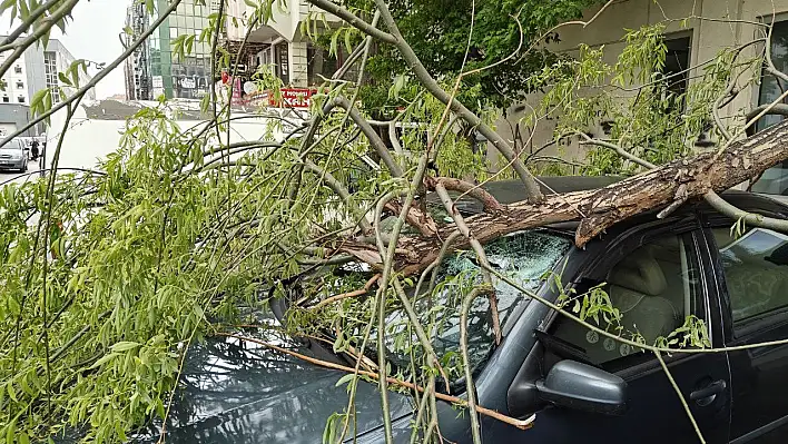 Kayseri'de rüzgar ağaç dalını kırdı, camı parçaladı