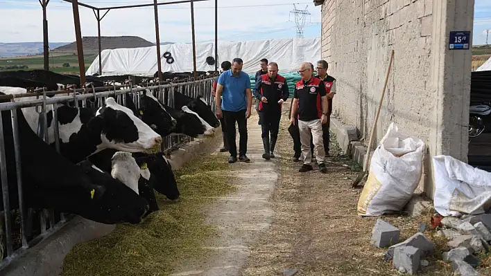 Kayseri'de sayı her geçen gün artıyor