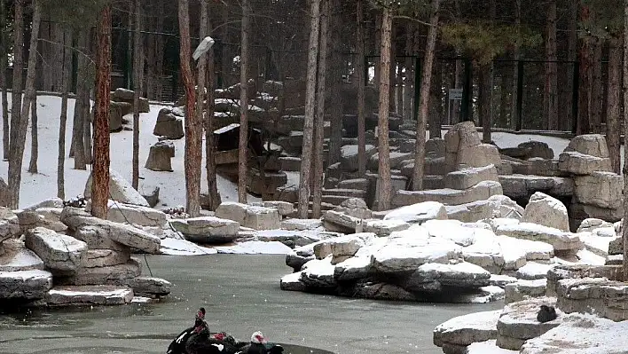 Kayseri'de soğuk hava gölü dondurdu
