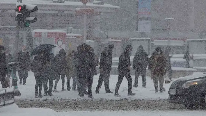 Kayseri'de 22 yıl sonra görüldü...