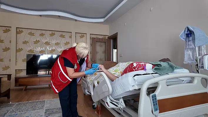 Kayseri'de ulu çınarlara vefa eli