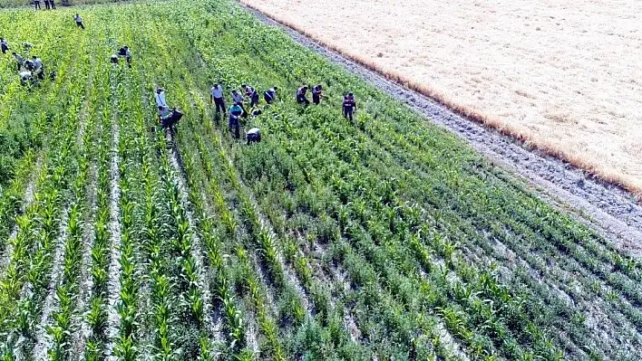 Kayseri'de uyuşturucu operasyonu: 2 Gözaltı