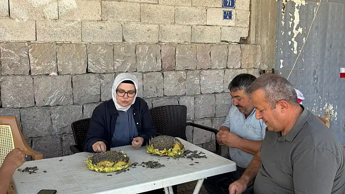 Kayseri'de 'Valinin ablasının' şemşamer keyfi