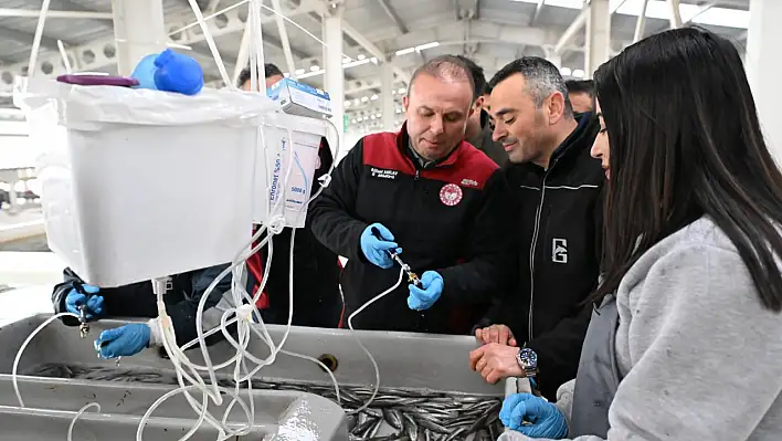 Kayseri'de yapılıyor: 100 milyonluk kapasitesi var!