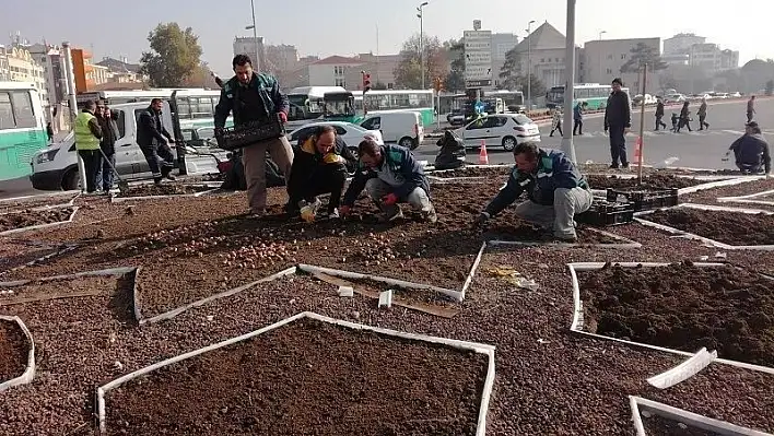 Kayseri'de yaşayan nüfus kadar bitki soğanının dikimi yapılıyor