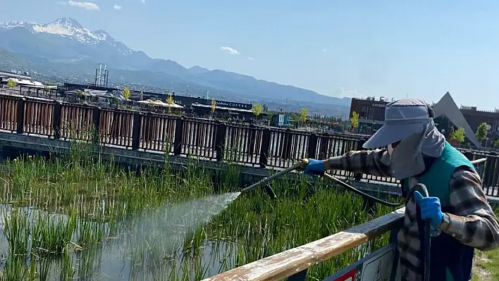 Kayseri'de yeşil alanlar mercek altında