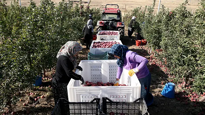 Kayseri'deki o sektörü kadınlar ele geçirdi