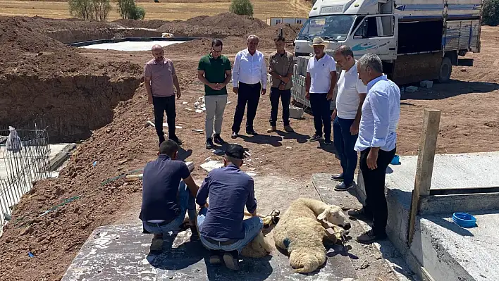 Kayseri'deki o temeller atıldı diye kurban kesip, dua ettiler!