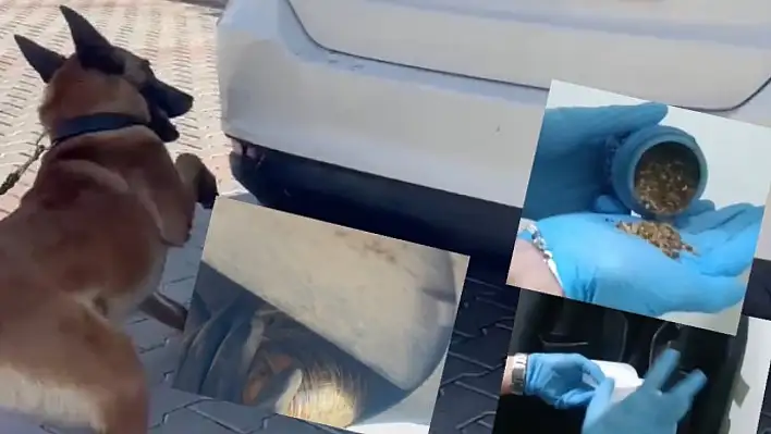 Kayseri'deki operasyonda eroinden skunka her türlü zehir yakalandı!