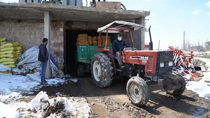 Kayseri'deki patatesler 81 ile gönderiliyor