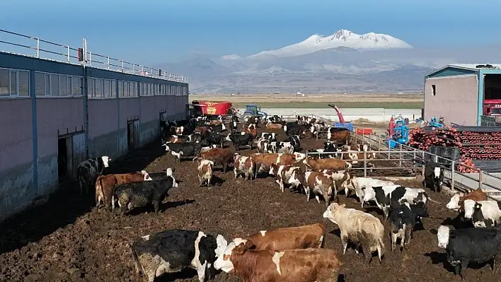 Kayseri'den 4.235 başvurdu