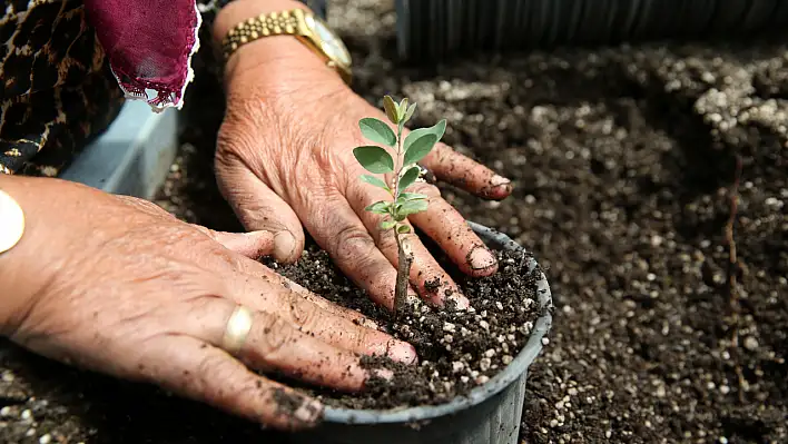 Kayseri'den 4 ile milyonlarca fidan doğaya hayat veriyor!