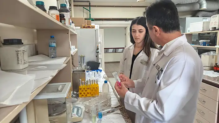 Kayseri'den kene ve haşereye karşı bitkisel çözüm