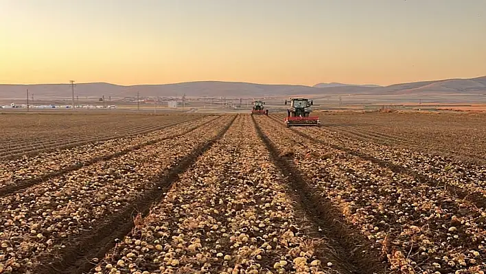 Kayseri'den Nevşehir'e... Hasat başladı