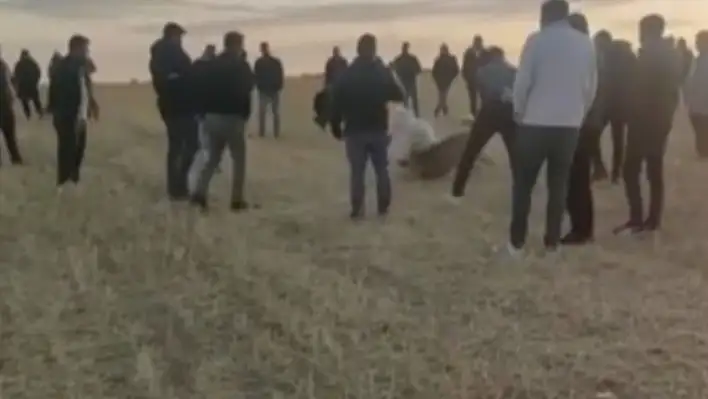 Kayseri jandarması köpek dövüştürenleri yakaladı! Rekor para cezası kesildi