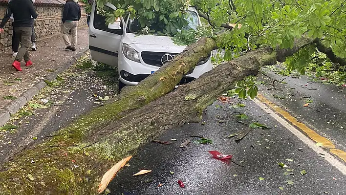 Kayseri, kuvvetli rüzgâr ve fırtına tehdidi altında!